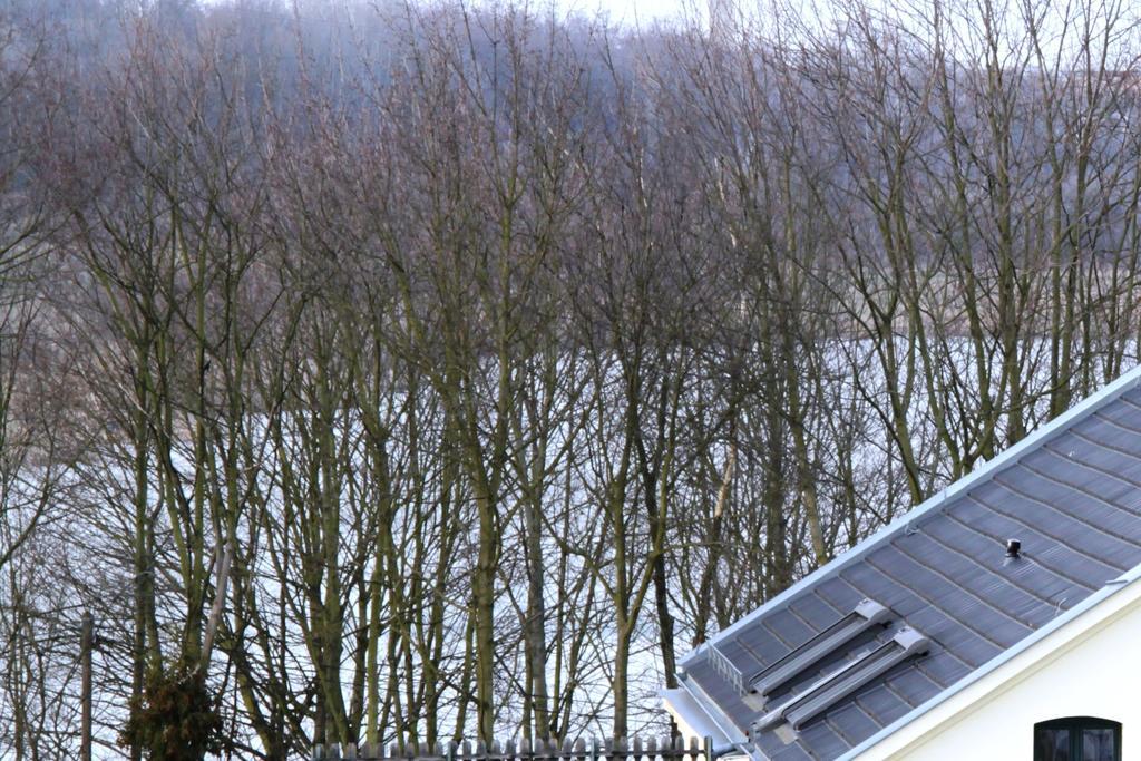 Forsthaus Knautkleeberg Daire Leipzig Dış mekan fotoğraf